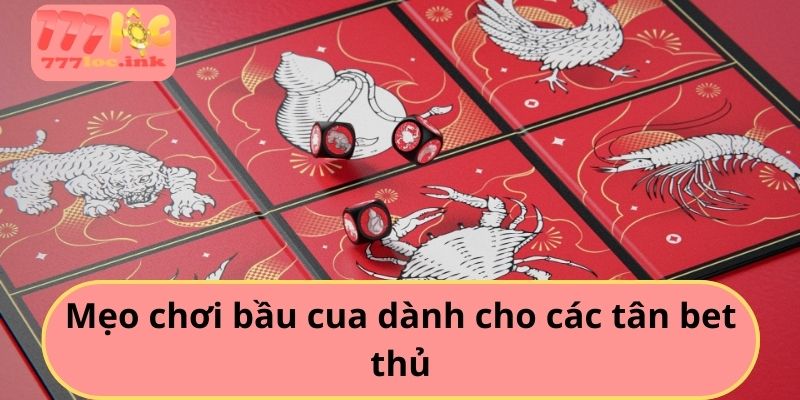 Mẹo chơi bầu cua dành cho các tân bet thủ